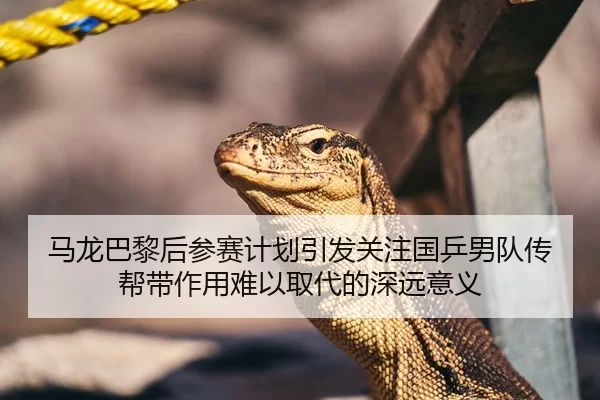 马龙巴黎后参赛计划引发关注国乒男队传帮带作用难以取代的深远意义