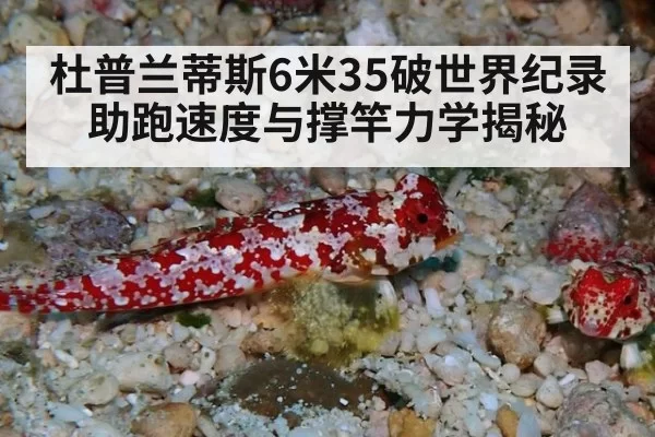杜普兰蒂斯6米35破世界纪录助跑速度与撑竿力学揭秘
