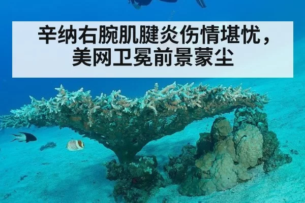 辛纳右腕肌腱炎伤情堪忧，美网卫冕前景蒙尘